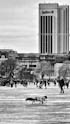 Radisson