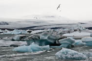 Jökulsarlon