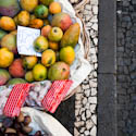 Madeira Mango
