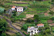 Terrassen