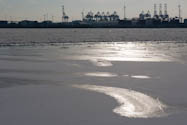 Winterschimmer