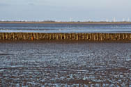 Nordsee